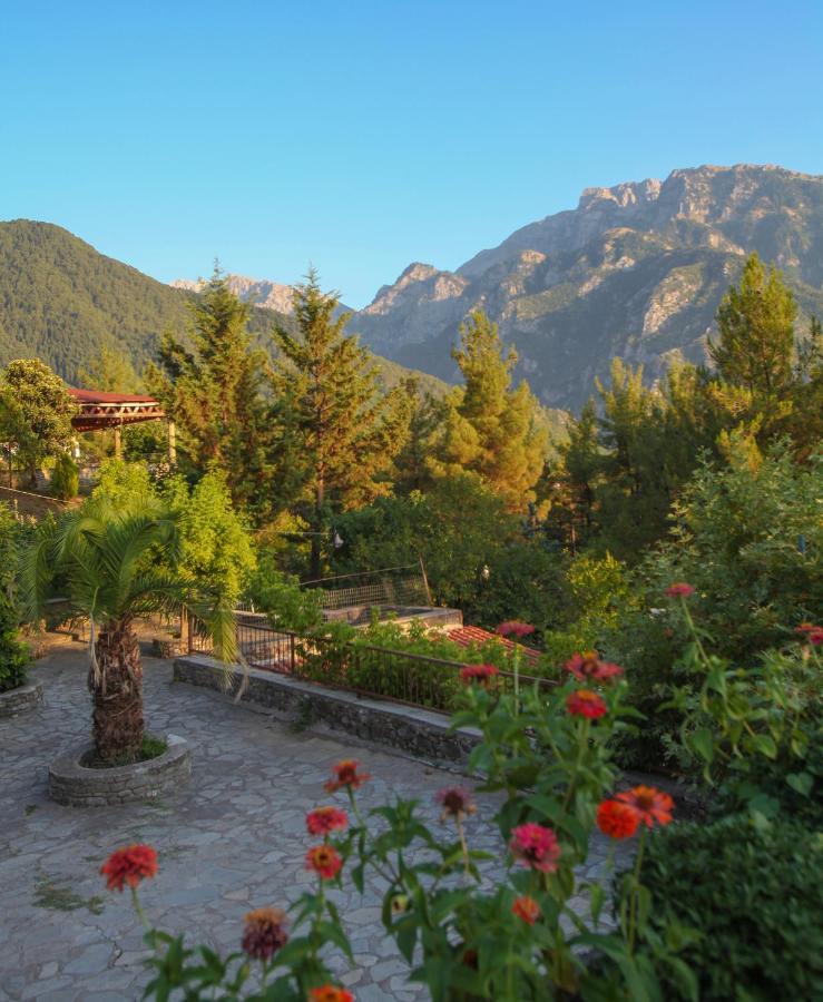 Hotel Konitsa Panorama Exteriér fotografie